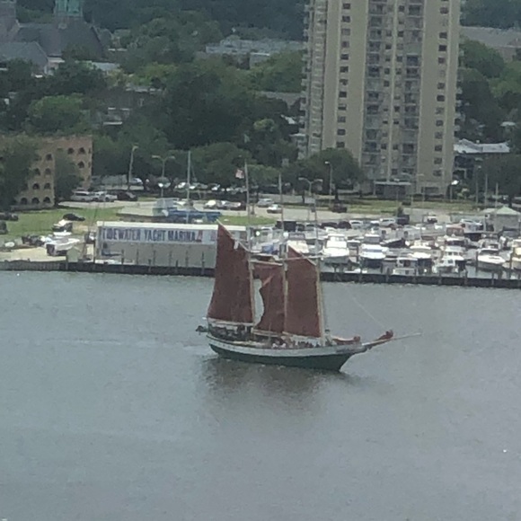 Meet your Posher, Adam - Picture 1 of 1